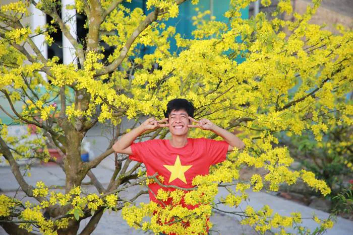 Đi 'săn' những hoa mai 150 cánh vàng nở rực tuyệt đẹp