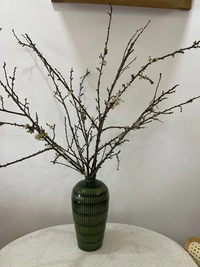 Cành hoa mận rừng giá rẻ