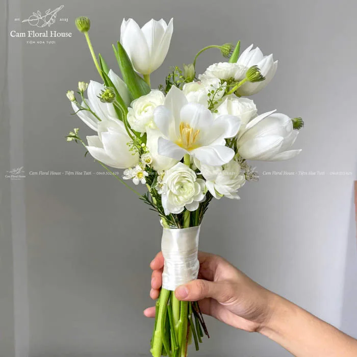 Hoa cầm tay Tulip Hà Lan phối mao lương nhập khẩu