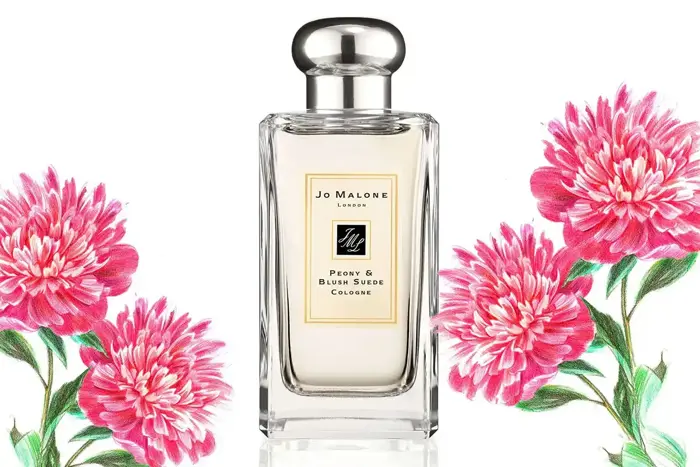 Hoa Mẫu Đơn (Peony) Có Mùi Như Thế Nào? - MC Perfume