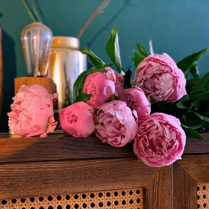 7 Điều Bạn Chưa Biết Về Hoa Mẫu Đơn - podoflowershop