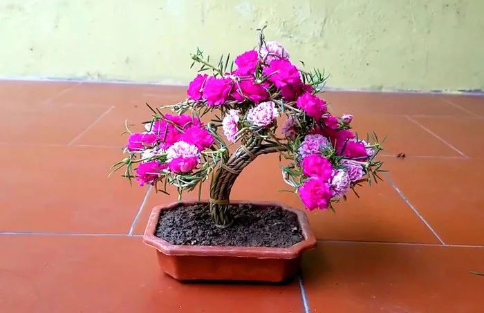 Bí quyết trồng cây bonsai hoa mười giờ: Hướng dẫn chi tiết để cây xanh tốt,