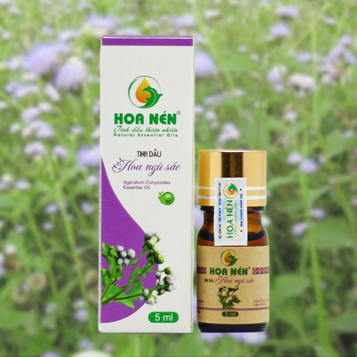 Tinh dầu hoa ngũ sắc Hoa Nén 5ml - Vegan - CÔNG TY TNHH MTV SẢN XUẤT TINH  DẦU HOA NÉN