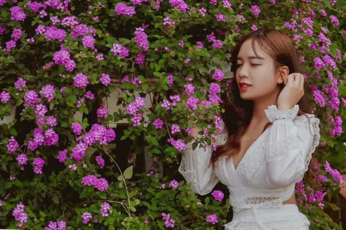 Hoa Ngũ Sắc tím nở rộ tại Fresh Garden - FreshDalat