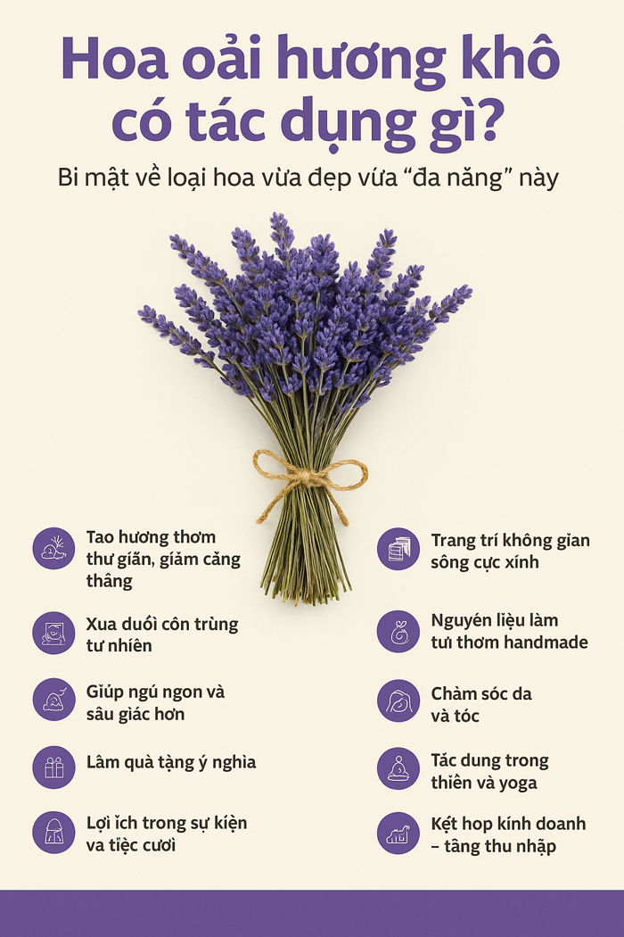Hoa Oải Hương Khô Có Tác Dụng Gì? Khám Phá Bí Mật Đằng Sau Hương Thơm Tinh  Tế