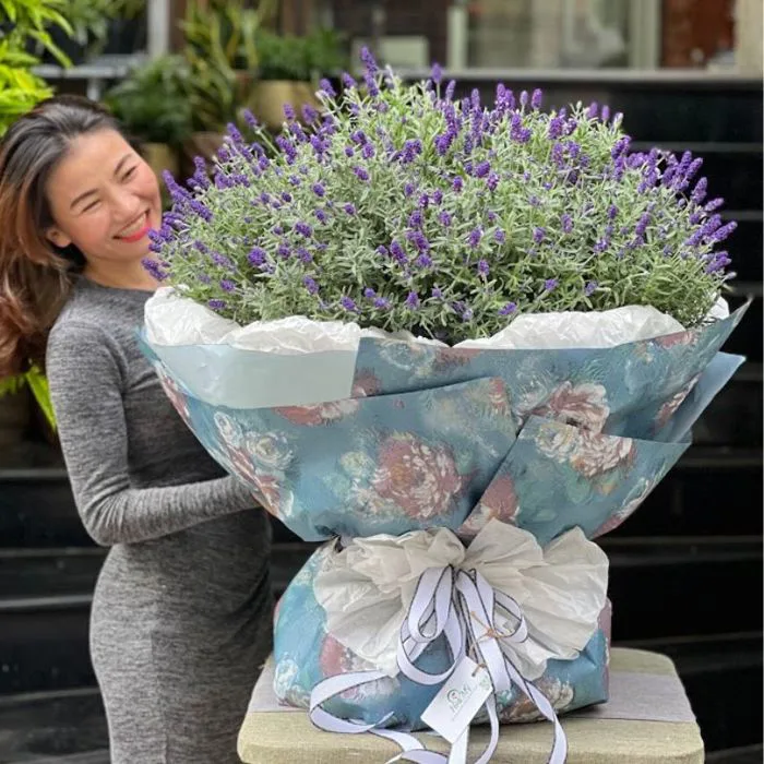 Bó Hoa Oải Hương Tím Khổng Lồ - Hoa Lavender Tặng Bạn Gái 14/2 Siêu Lãng Mạn
