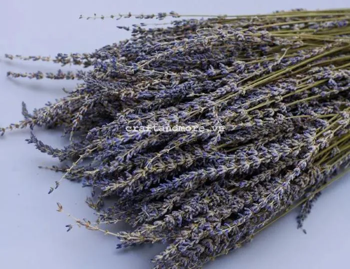 Lavender khô - hoa oải hương khô đẹp mùi thơm đặc trưng Craft & More  Vietnam | vietgiftcenter.com