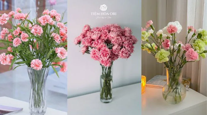 Bật mí cách cắm hoa Phăng tươi lâu cực kì đơn giản