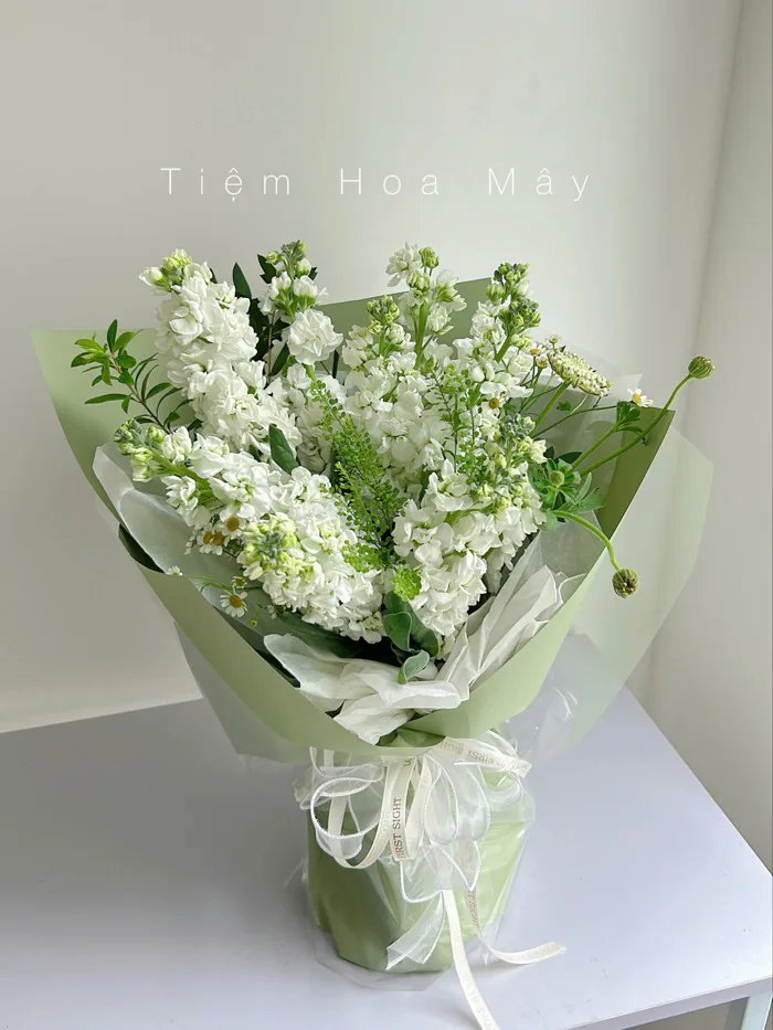 Bó hoa Phi Yến màu trắng – Tiệm Hoa Mây – Cloud Flower Shop