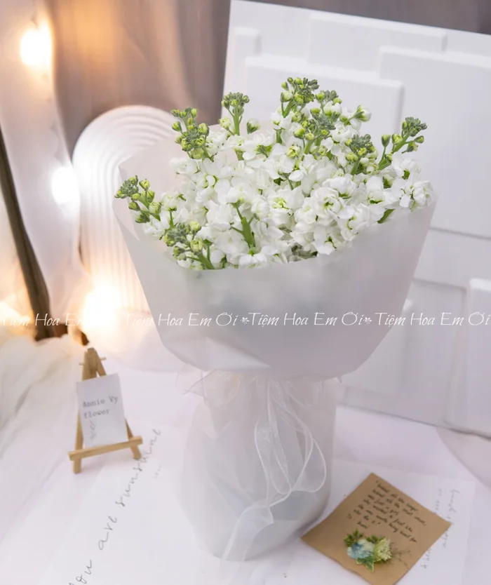 Bó Hoa Quà Tặng Phi Yến Trắng B35 - Annie Vy Flower