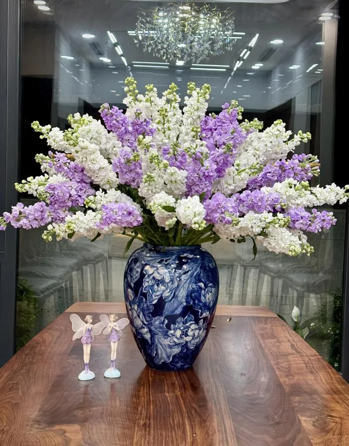 Hoa phi yến cực đẹp nhưng cũng cực độc, lưu ý đối với người yêu hoa để phi  yến tươi lâu, không độc hại
