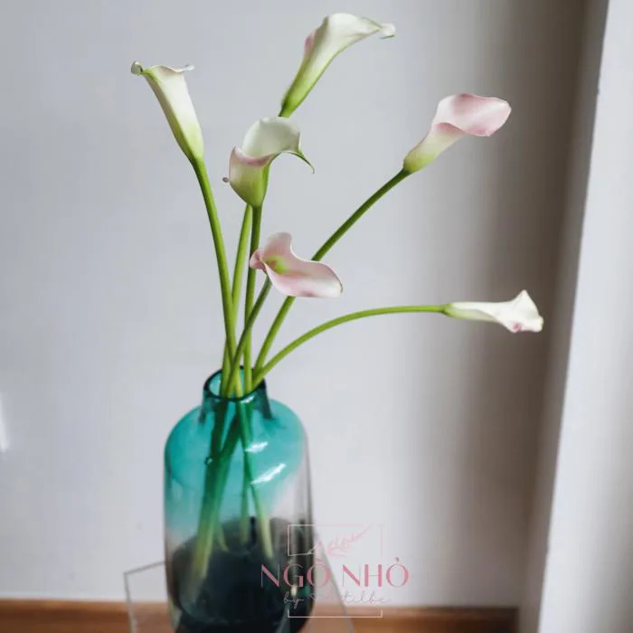 Hoa Lẻ) Hoa Rum/ Calla Lily nhập khẩu | Tiệm Hoa Ngõ Nhỏ