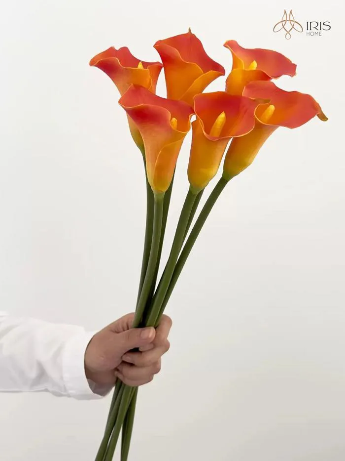 Hoa rum (Calla Lily) màu cam – Iris Home
