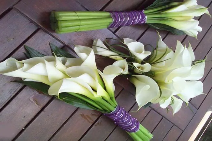 Khám phá hoa rum mang đẹp thanh cao và thông điệp đầy ý nghĩa trong cuộc