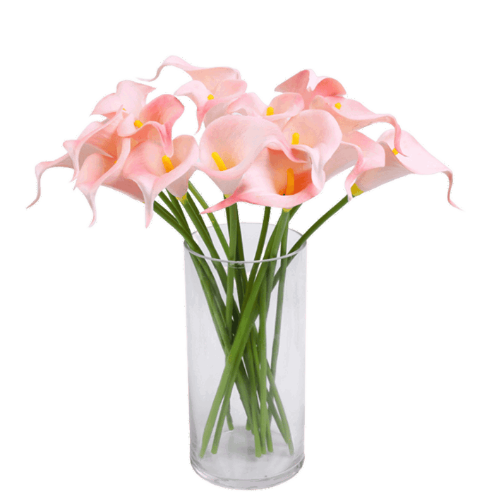 Hoa Rum Hồng - Domy Flower | Mua hoa online TPHCM