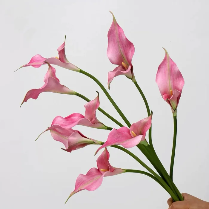 Hoa Rum (Calla Lily)- Hoa Giả Trang Trí, Hoa Cưới