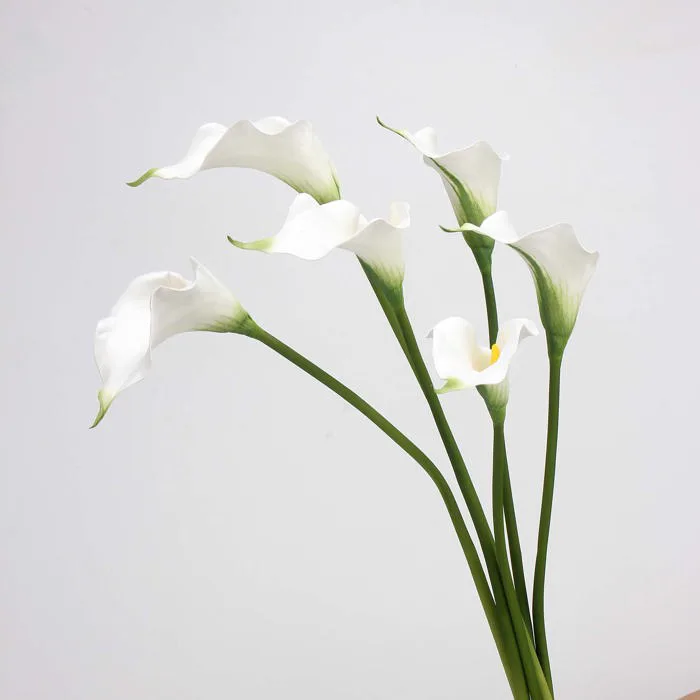 FLOWER Hoa Rum cao su 1b Trắng 6861