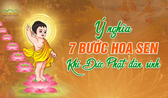 hoa-sen-7-buoc-chan-phat-y-nghia-1 hoa-sen-7-buoc-chan-phat-y-nghia-1