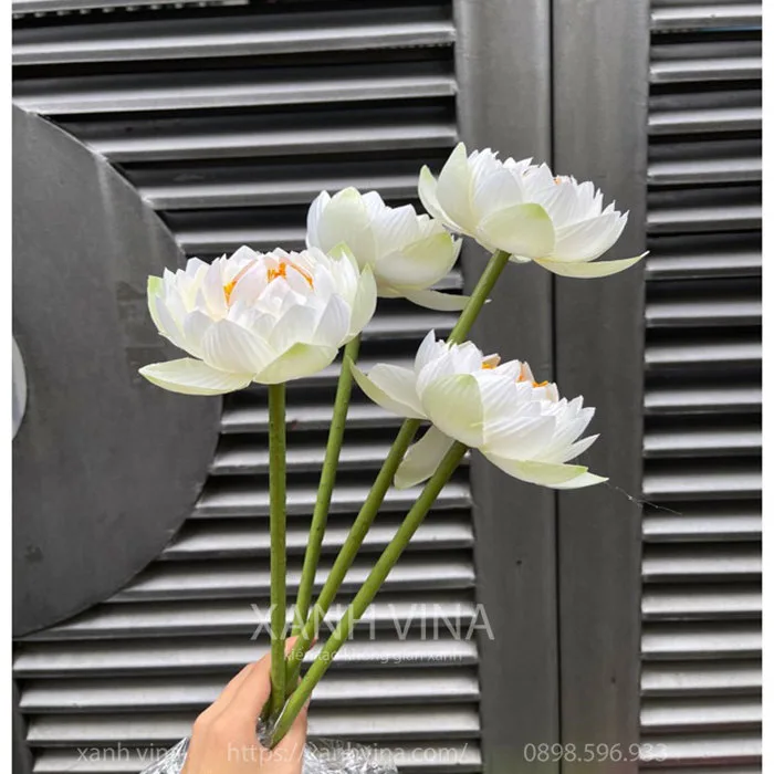 Hoa sen trắng giả nhụy vàng