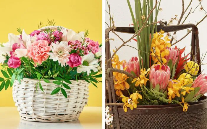 20+ mẫu hoa sinh nhật cho người lớn tuổi đẹp, tinh tế, ý nghĩa