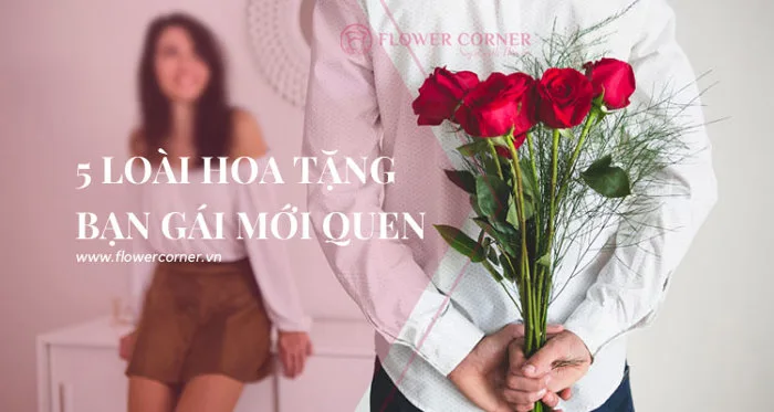 Nên Tặng Hoa Gì Cho Bạn Gái Mới Quen để Gây ấn Tượng Với Nàng