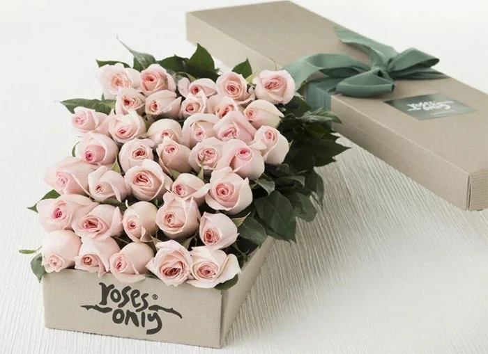 Gợi Ý 8 Loài Hoa Đẹp Chúc Mừng Sinh Nhật Chị Gái