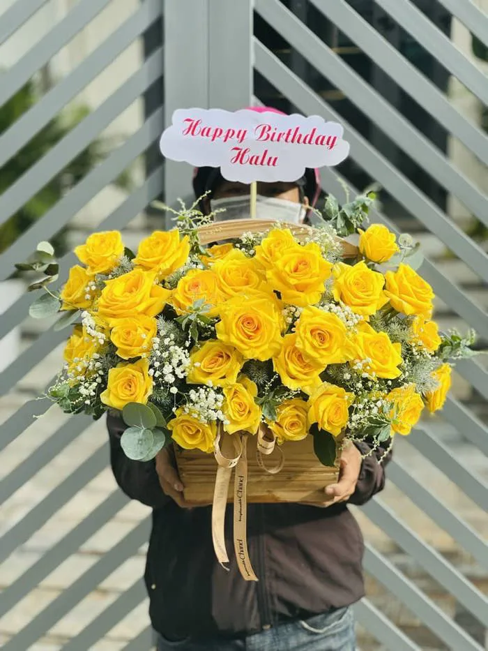 20+ Mẫu Hoa Tặng Sinh Nhật Chị Gái Ý Nghĩa, Ấn Tượng