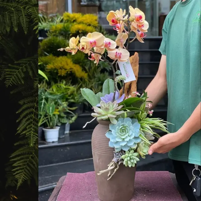 Hoa Chúc Mừng Sinh Nhật Chị Gái, Em Gái, Bạn Gái Với Bình Sen Đá
