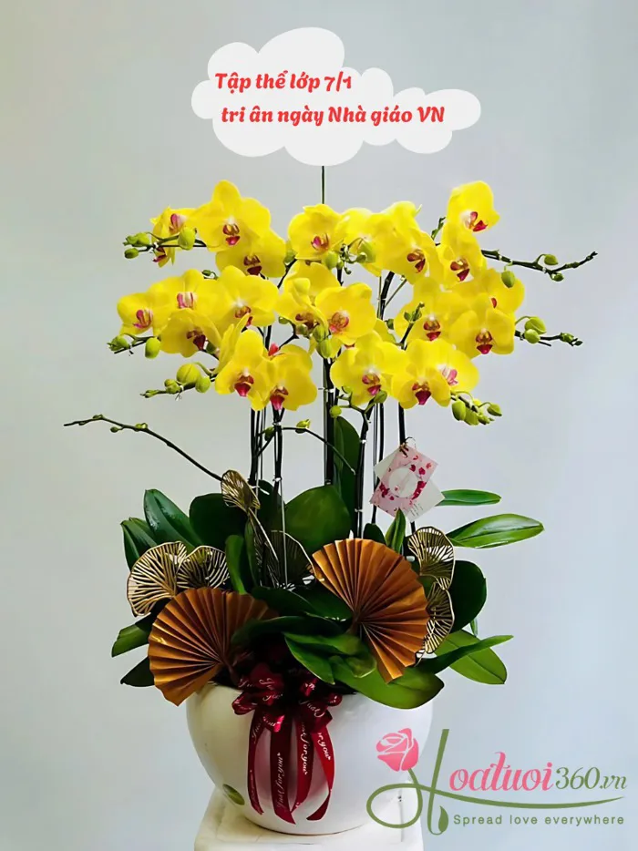 99+ Mẫu hoa 20/11 đẹp ý nghĩa tặng Thầy Cô giáo