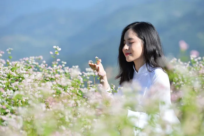 MỚI NHẤT] Kinh nghiệm du lịch mùa hoa Tam Giác Mạch ở Hà Giang - BestPrice