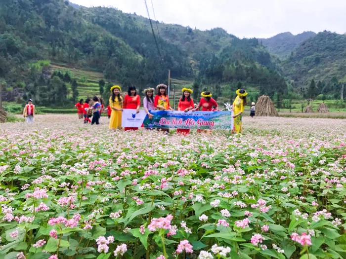 Hà Giang: Mùa hoa Tam giác mạch 2020 có gì hấp dẫn?