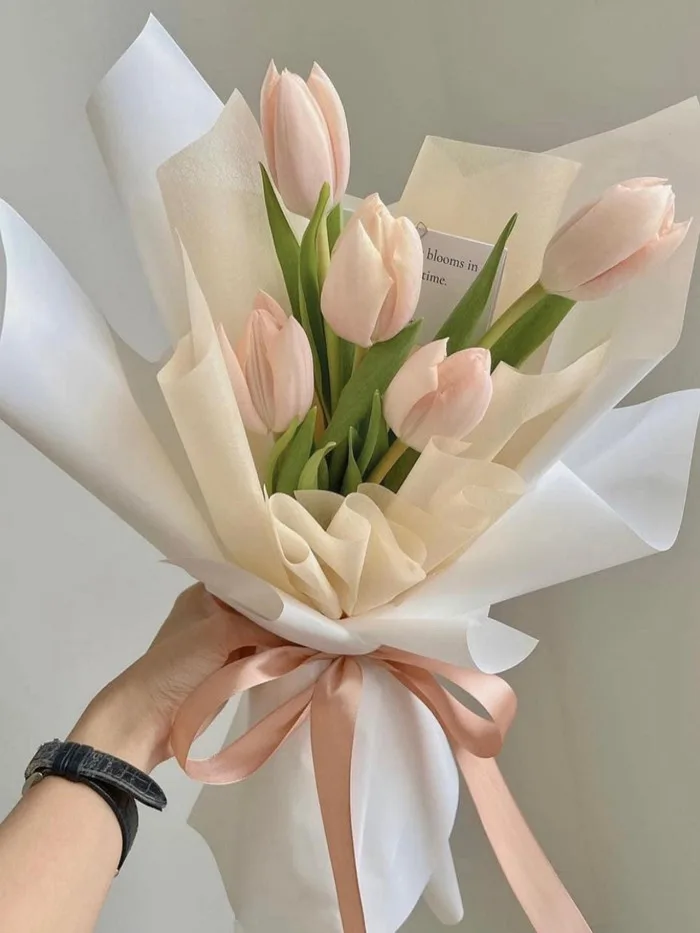 POEM FLOWERS - Hoa sinh nhật - tặng người yêu - Bó hoa tulip 5 bông đủ màu  đẹp, sang trọng tặng sinh nhật