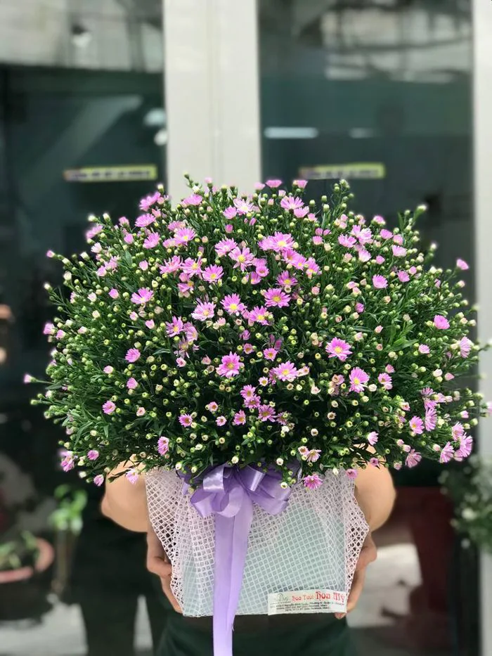 Khám phá 10 ý tưởng Hoa thạch thảo tím và hoa tươi | bình hoa, hóa thạch,  hoa đẹp và các ý tưởng khác