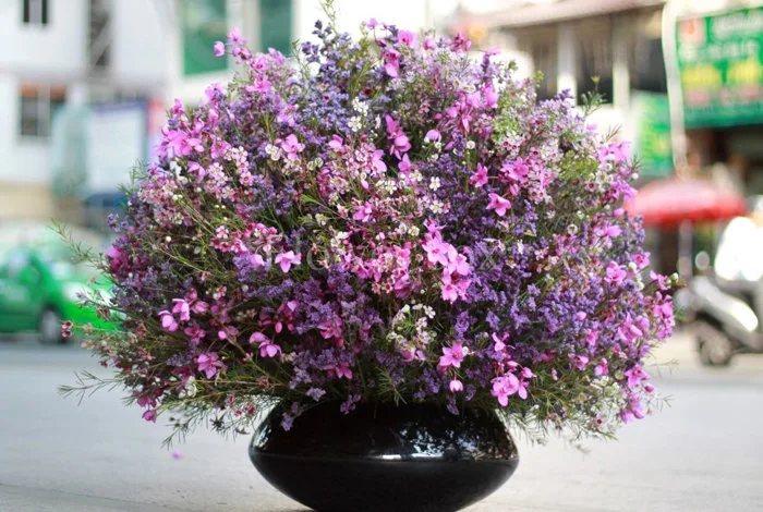 HOA THANH LIỄU – VẺ ĐẸP HOA ĐỒNG NỘI - Flower box | Website chính thức |  Không chỉ là hoa, chúng tôi truyền tài cảm xúc...