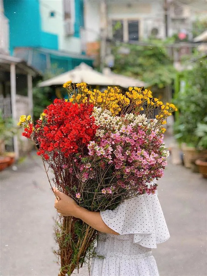 Thanh liễu giá bao nhiêu? Thanh liễu độ bền bao nhiêu ngày?