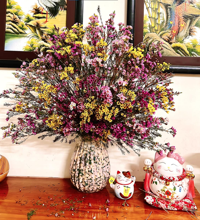 Bí Quyết Cắm Hoa Thanh Liễu Đẹp, Sang Trọng Cho Mọi Không Gian