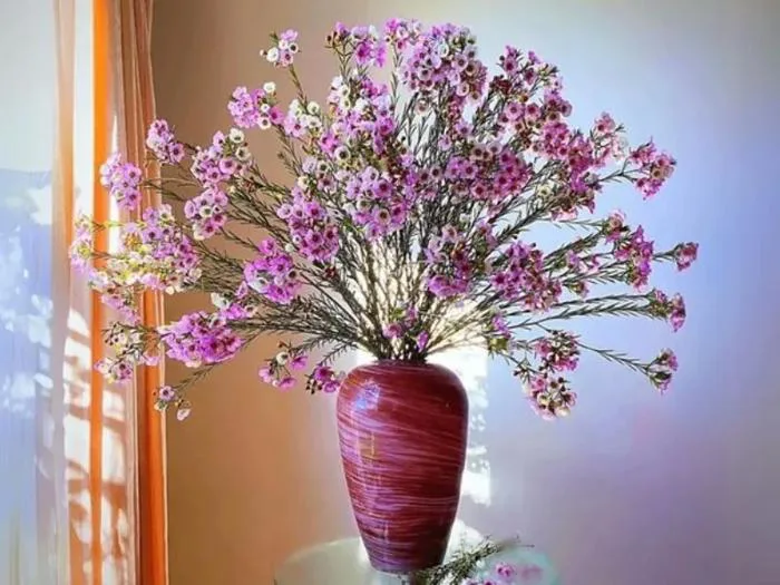 Gợi ý cách cắm hoa thanh liễu đẹp và ấn tượng - Pha Lê Hà Nội