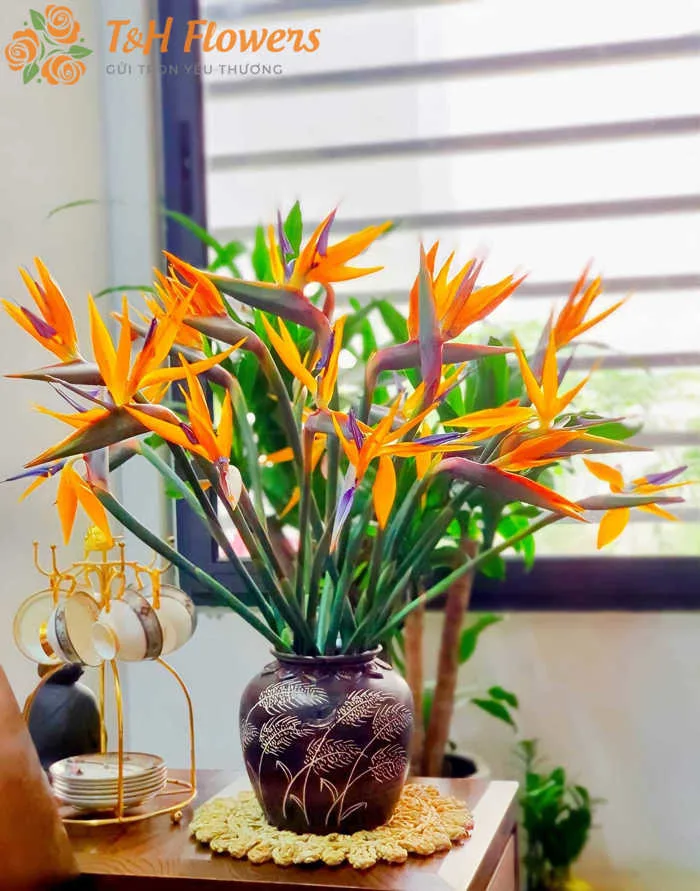 Ý nghĩa hoa Thiên Điểu - Biểu tượng của tự do, kiêu hãnh