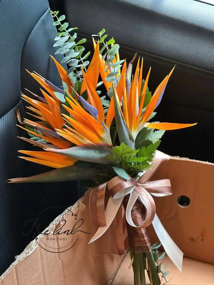 Thiên điểu Đà Lạt (bó 10 bông)