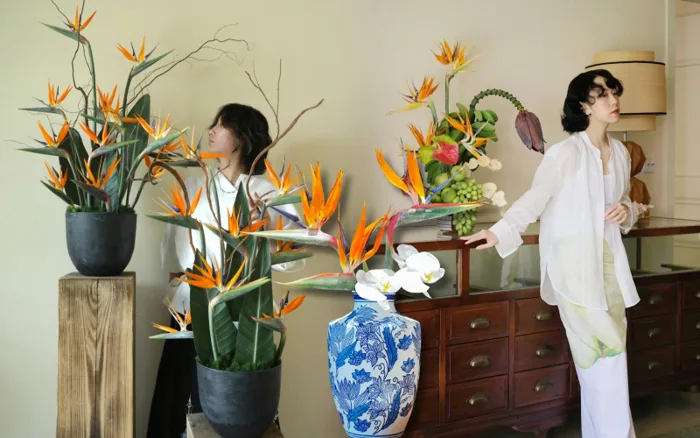 Hoa thiên điểu “đổ bộ” phòng khách ngày Tết: Nhìn là thấy giàu, cắm một lần  là nghiện
