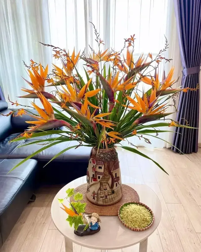 Hoa thiên điểu: Ý nghĩa, giá thành và cách bố trí cho nội ngoại thất
