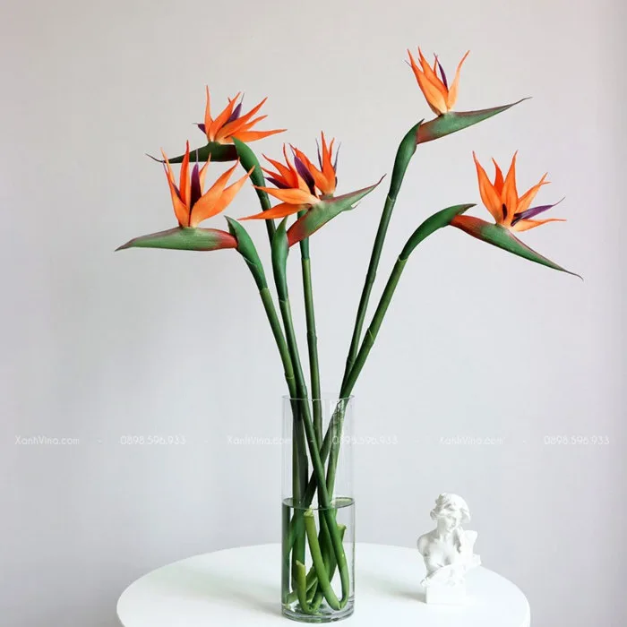 Hoa Thiên Điểu Giả