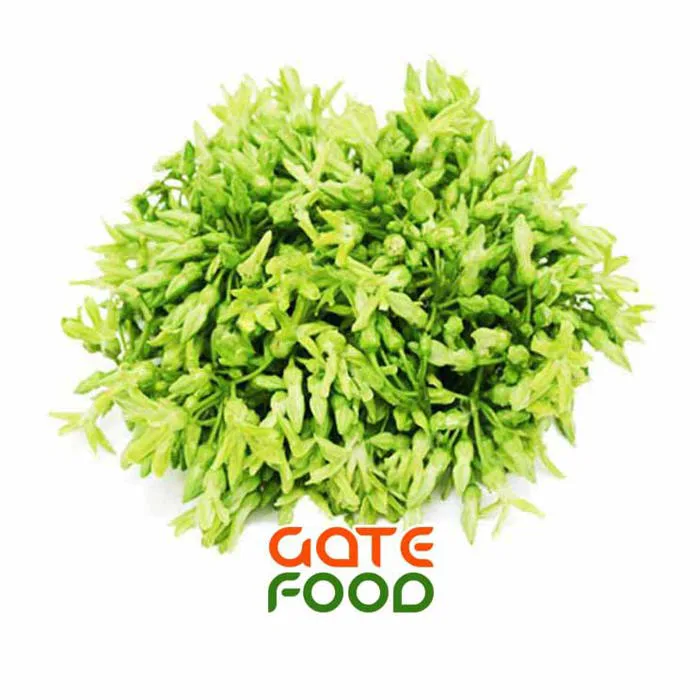 BÔNG THIÊN LÍ -LOẠI 1KG - GATEFOOD VIỆT NAM