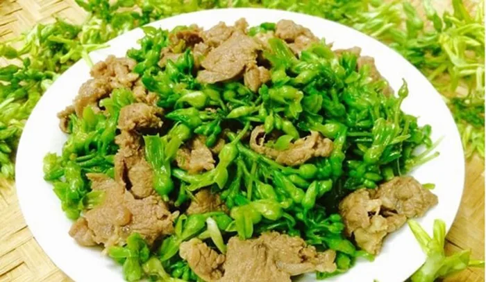 Cách xào thịt bò với hoa thiên lý tốt cho sức khoẻ
