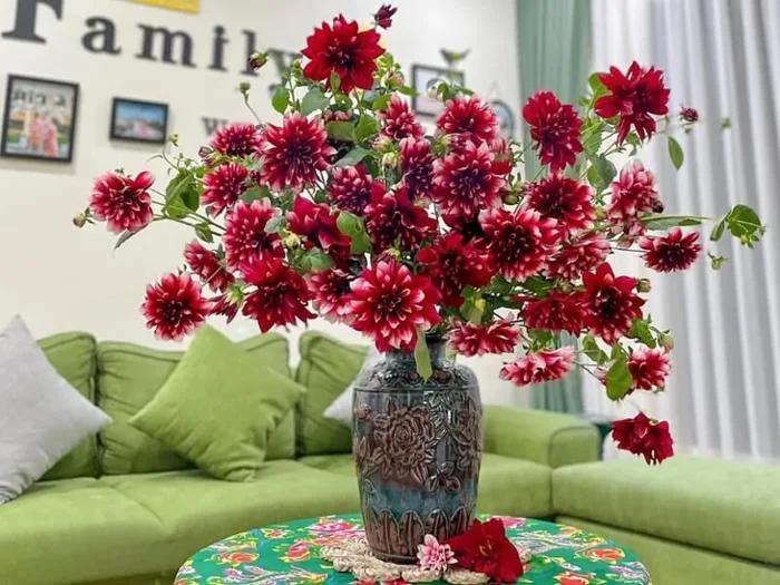 Cách cắm hoa thược dược tươi lâu chơi Tết