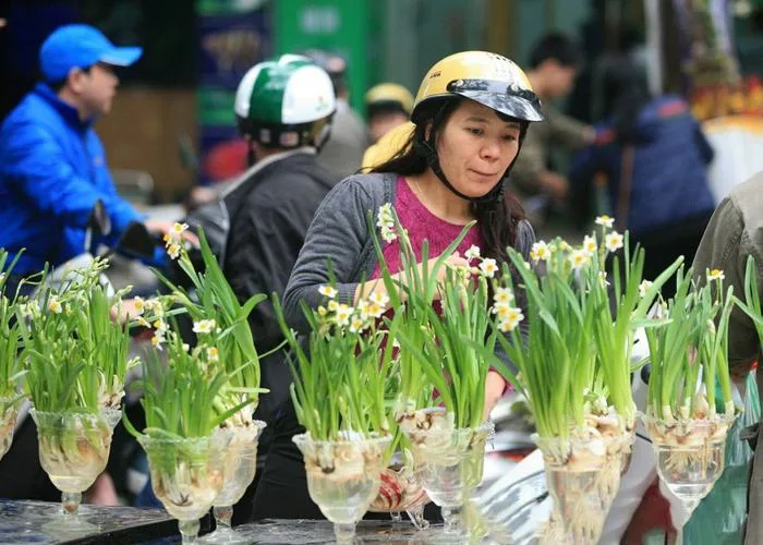 Hoa Thủy Tiên