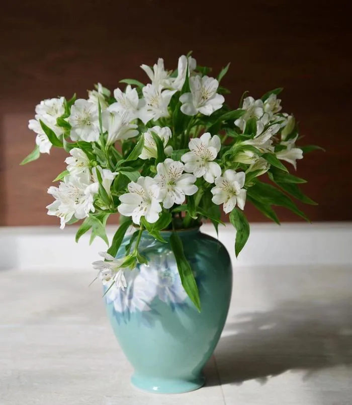 Thủy tiên đủ màu (bó 10 cành)