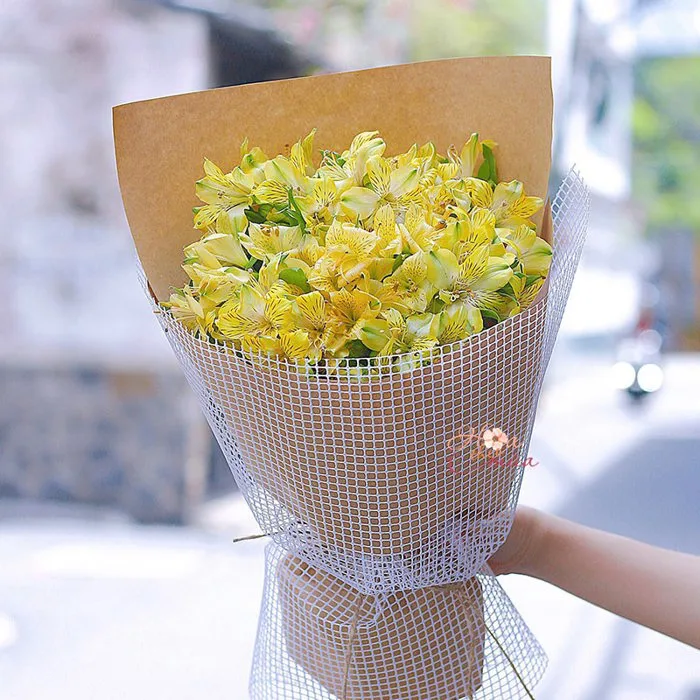 Bó mộc Thuỷ Tiên vàng