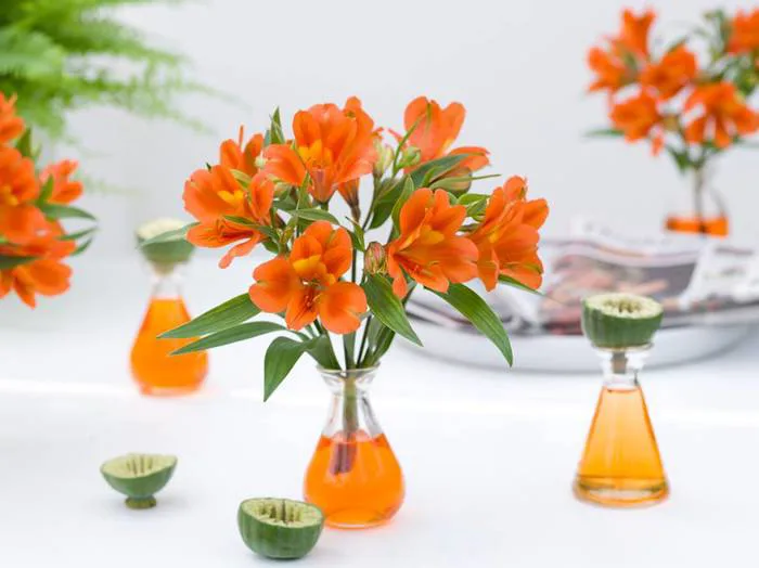 Thủy Tiên (Lily Peru): Nguồn gốc, ý nghĩa và cách để hoa nở to, đẹp