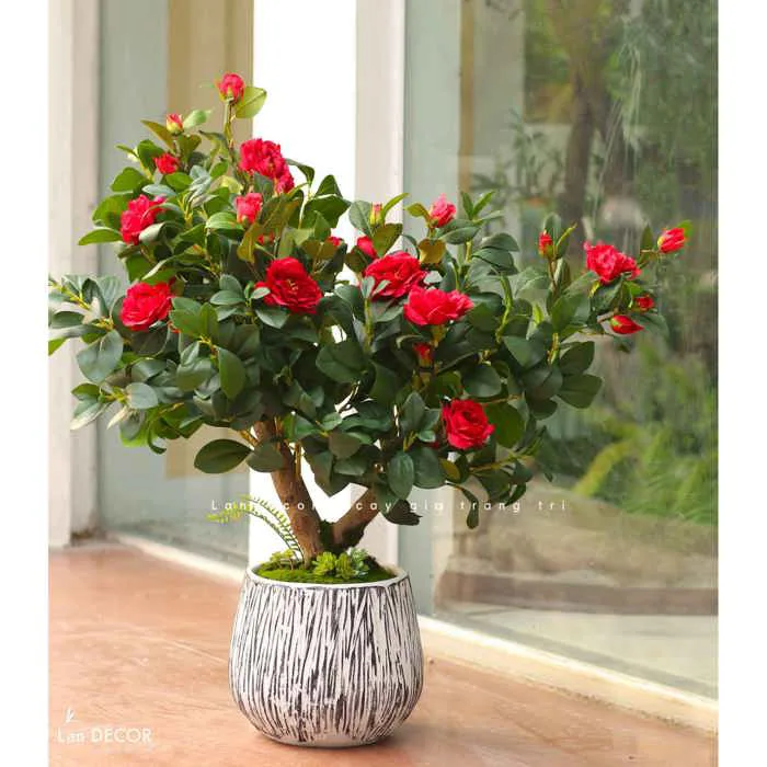 Cây Trà Giả Trang Trí- Cây Hoa Trà Đỏ Thiết Kế Lan Decor, Trang Trí Không  Gian Sang Trọng (90cm)- CC1234